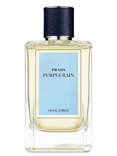 purple rain perfume prada